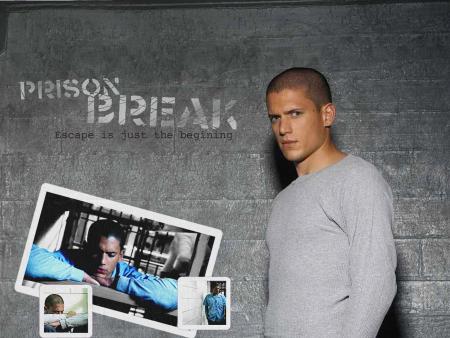 Michael Scofield